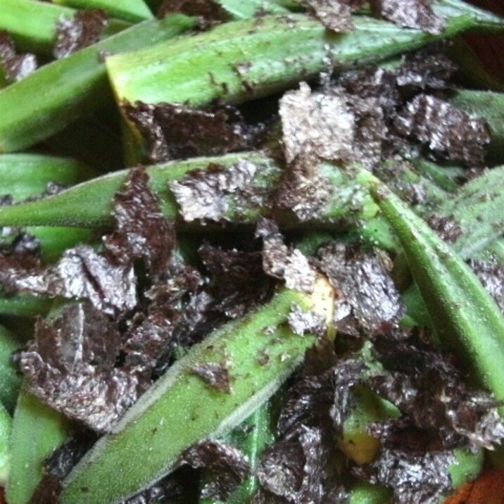 オクラの焼き海苔すだち和え